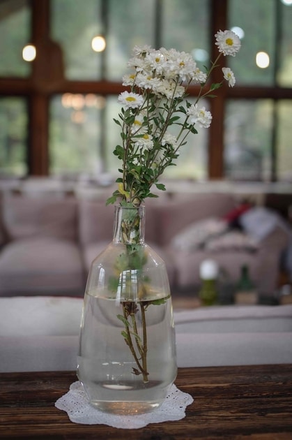 White flowers in clear vase on wooden table at Biovaleputna guest house